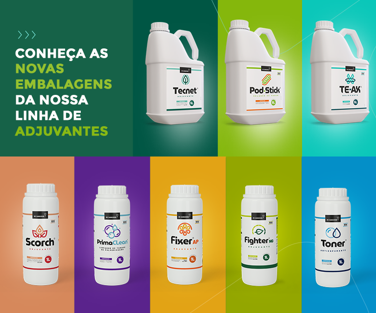 Imagem representativa